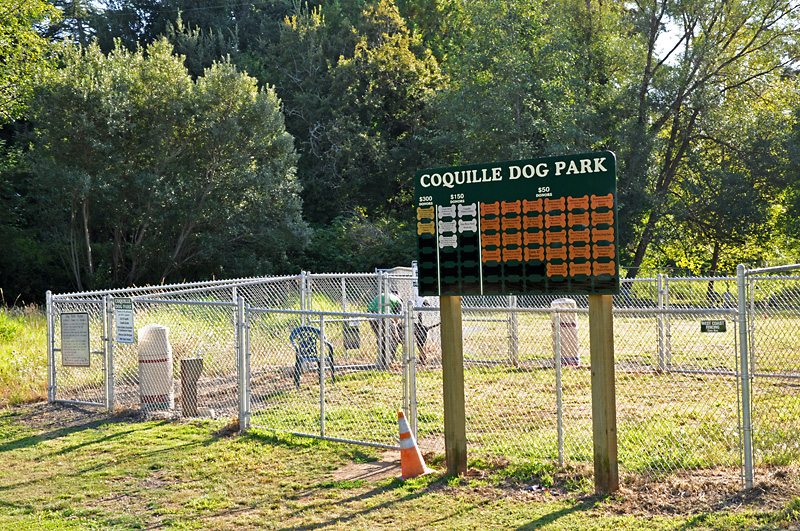 We found a local dog park, but no other dogs