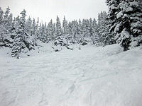 Some fluffy powder in the private reserve.jpg