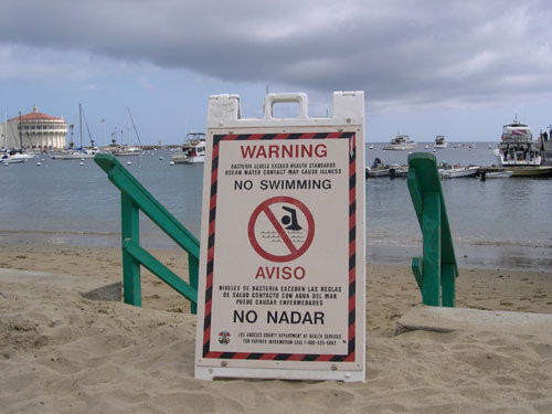 Catalina_Island08.jpg