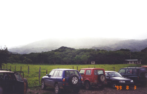Costa_Rica_Jungle36.jpg