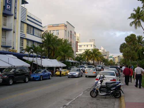 Everglades36.jpg