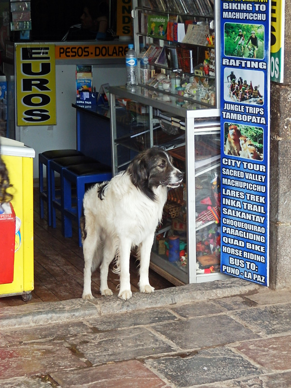 Peruvian Door greeter.jpg