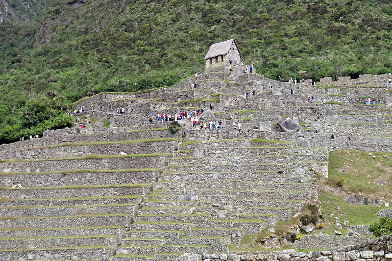 The terraces helped prevent erosion.jpg