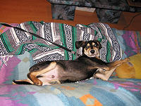 He loved clowning around and making us laugh.jpg