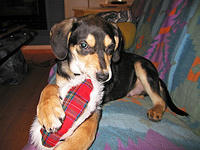 The teeting process was challenging.jpg